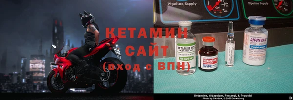 шишки Алексин