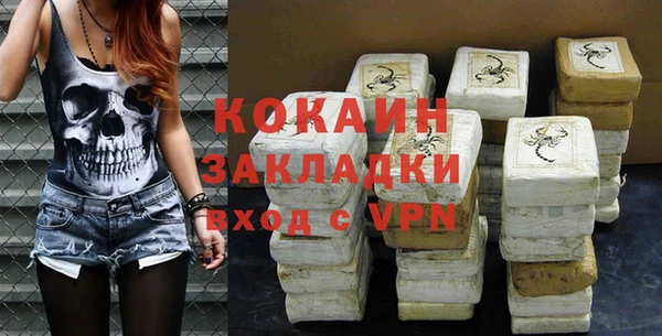 шишки Алексин