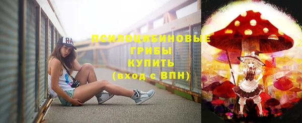 стафф Абинск